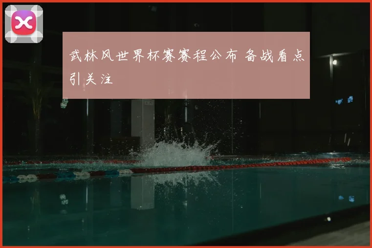 武林风世界杯赛赛程公布 备战看点引关注
