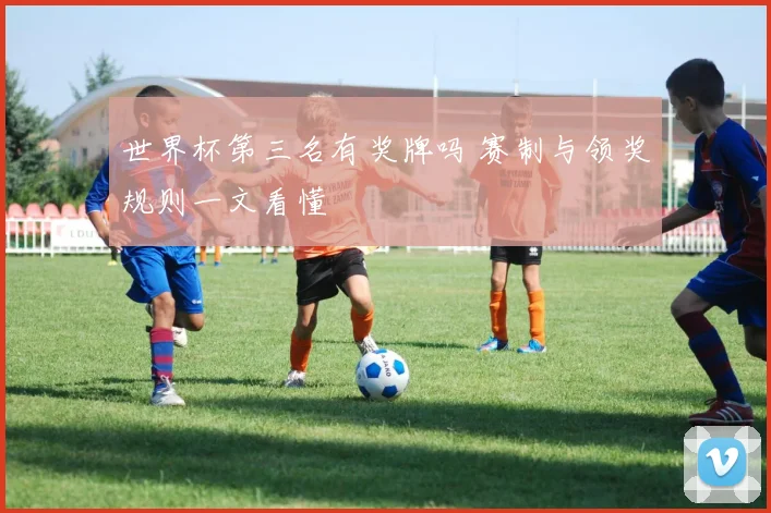 世界杯第三名有奖牌吗 赛制与领奖规则一文看懂