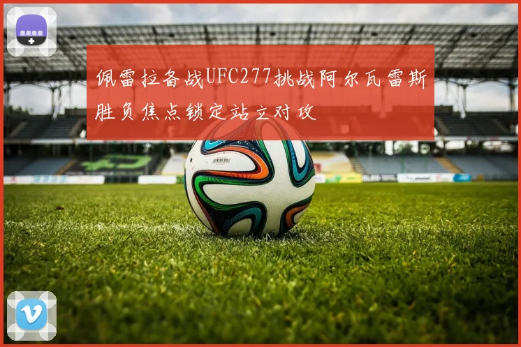 佩雷拉备战UFC277挑战阿尔瓦雷斯胜负焦点锁定站立对攻