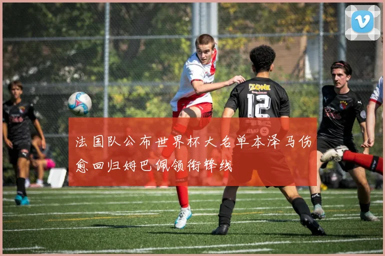 法国队公布世界杯大名单本泽马伤愈回归姆巴佩领衔锋线