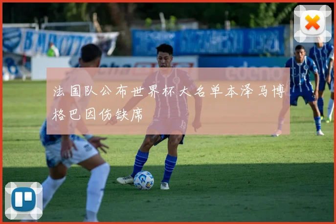 法国队公布世界杯大名单本泽马博格巴因伤缺席