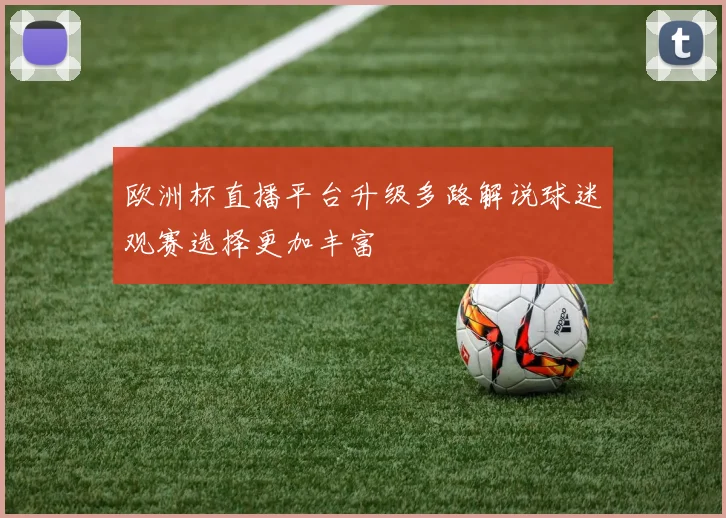 欧洲杯直播平台升级多路解说球迷观赛选择更加丰富